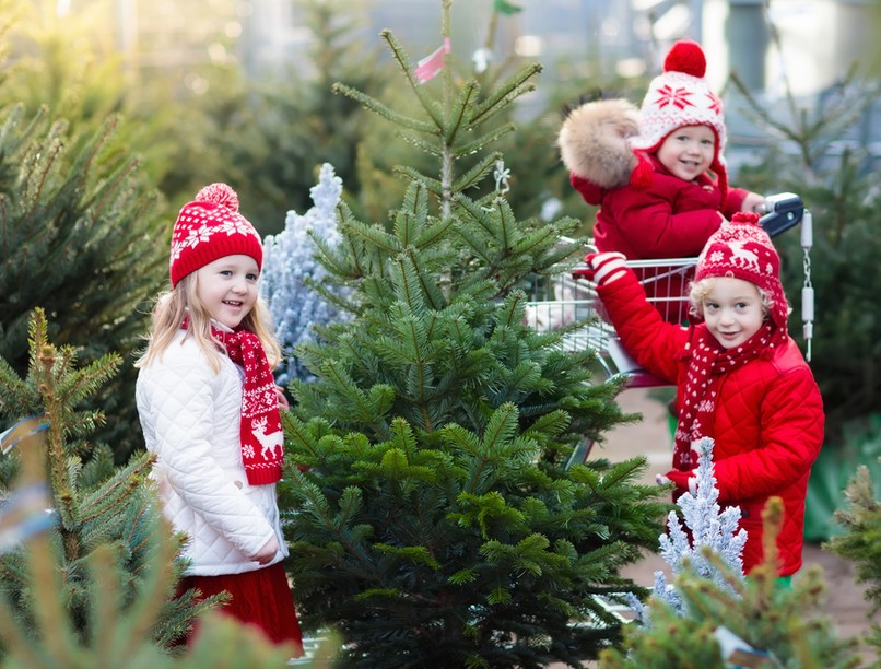 karácsonyfa, fenyőfa, műfenyő, ünnepek, klímaváltozás,