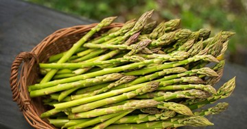 Kezdődik a spárga szezonja: erre figyeljen vásárláskor