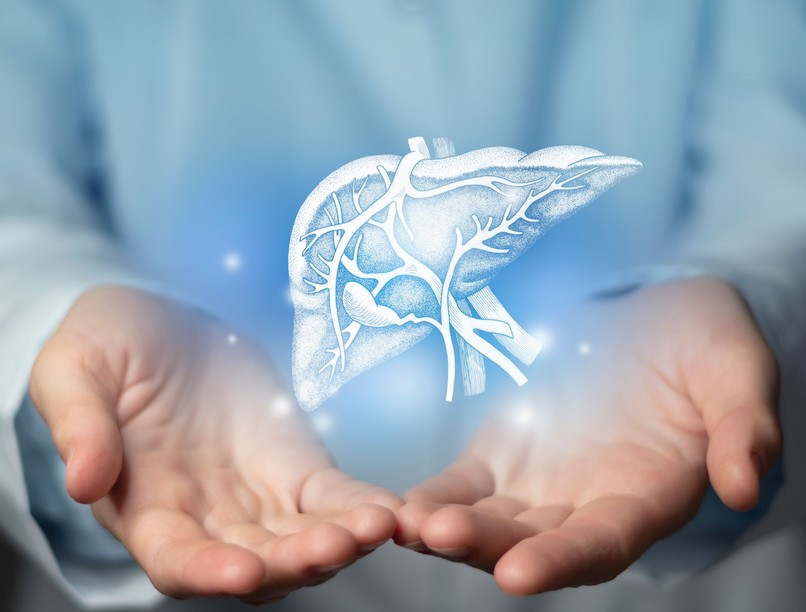 májbetegség, máj daganat, szervátültetés. májátültetés