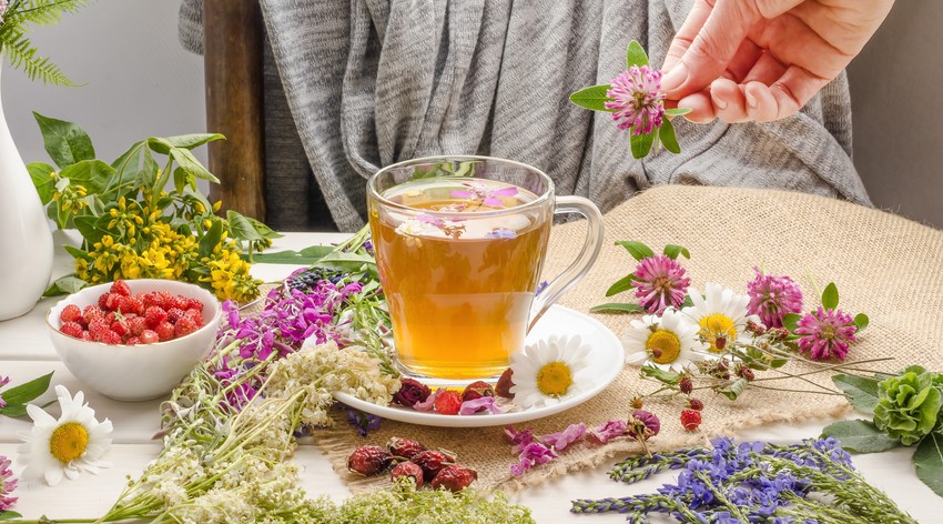 A stressz nemcsak lelki, hanem fizikai tüneteket is okozhat. A fitoterapeuta elmondja, milyen gyógynövények segíthetnek!