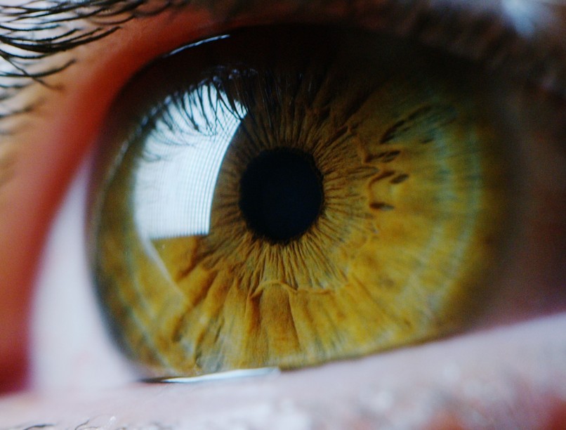 zöldhályog, látásvesztés, vakság, kezelés, szűrés