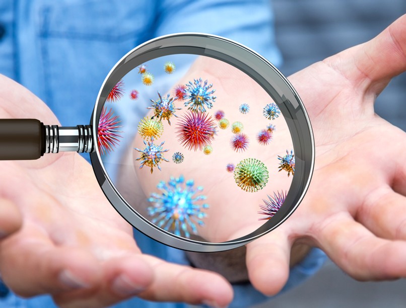 vírus, baktérium, immunrendszer