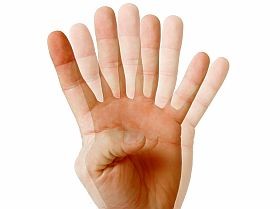 Testképünk titkai: hány végtagunk is van?