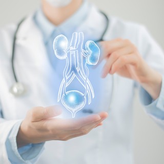 Idült hólyaggyulladás tünetei, vizsgálata és kezelési lehetőségei című cikk nyitóképe