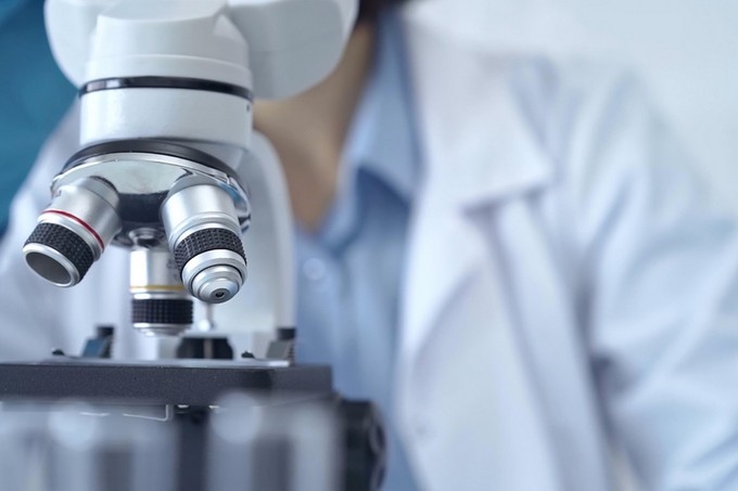 A patológiás folyamatokba való beavatkozás lehetőségeit vizsgálják Debrecenben című cikk nyitóképe