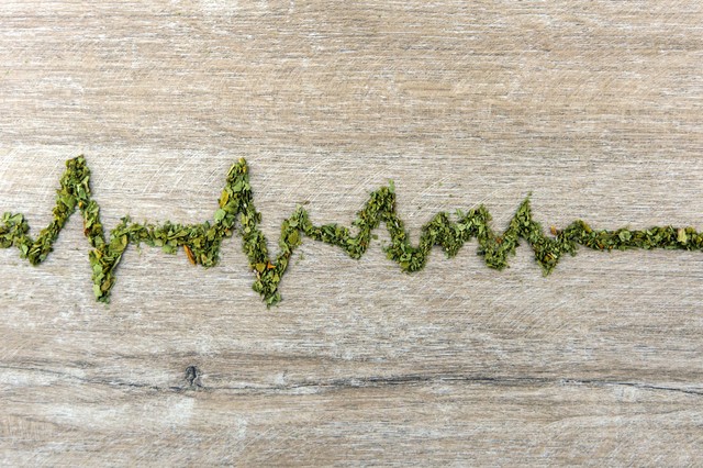 Nem veszélytelen az orvosi kannabisz: ilyen hatása van a szívre