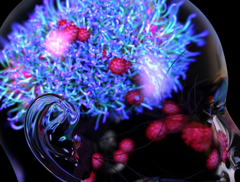 koronavírus, covid, agy