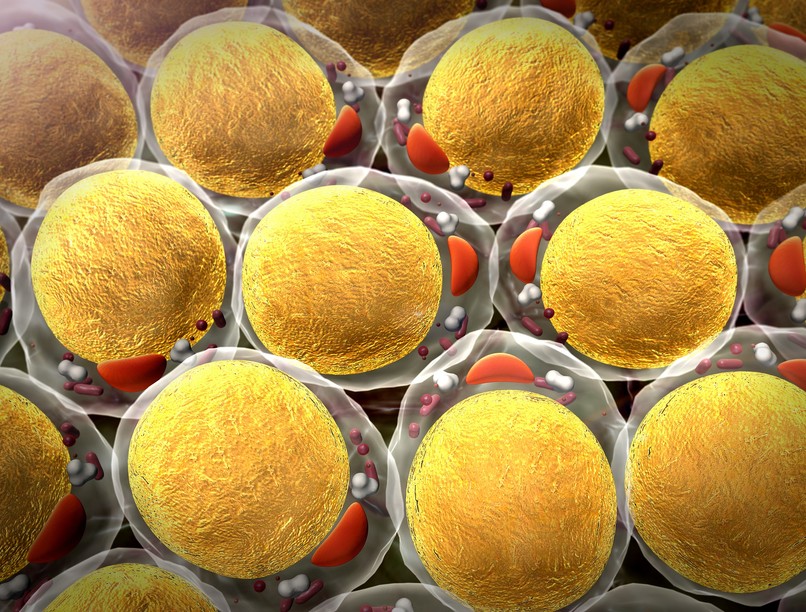 magas koleszterinszint ellen táplálkozás gyümölcs