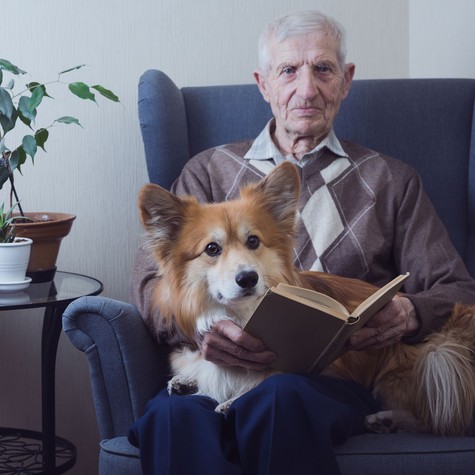 A kutyák hamarabb érezték hogy baj van – "Mintha tudták volna, hogy valami nem stimmel vele” című cikk nyitóképe