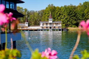 A Hévízi tó vizét a következő betegségek kezelésére is használják: mozgásszervi betegségek, ízületi és gerincbetegségek, gyulladások, kötőszöveti reuma, bőrbetegségek, törések, baleseti sérülések, műtétek.