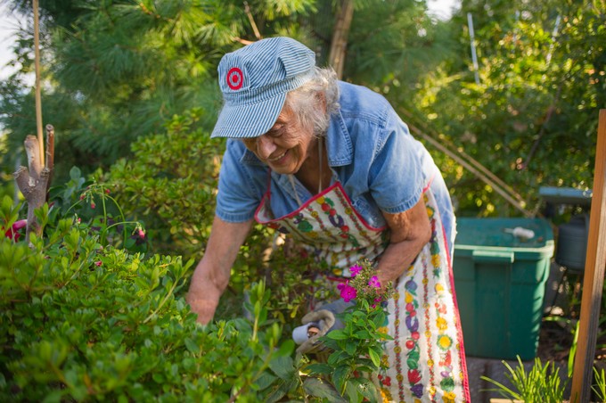 Mennyire bízhatunk nagyanyáink gyógyító praktikáiban? Az orvos válaszol című cikk nyitóképe