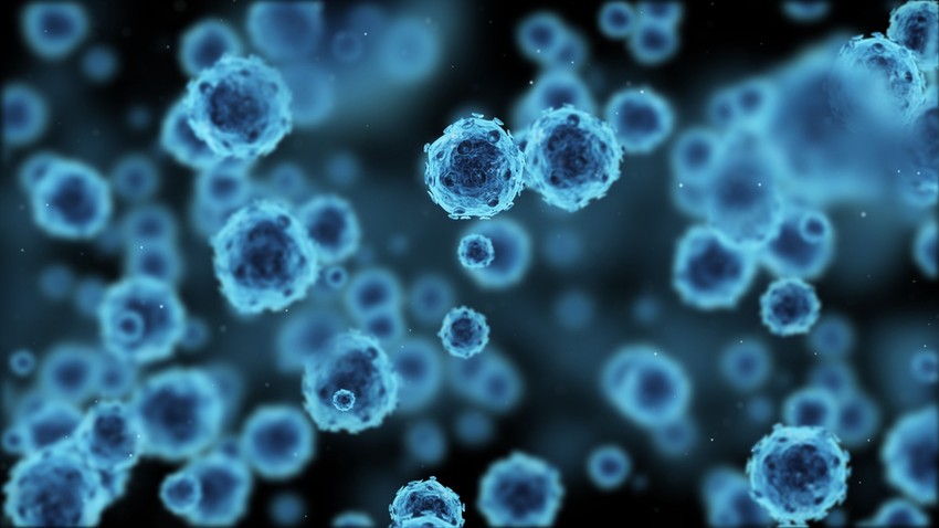 A két leggyakoribb herpeszvírus-fertőzés, mely a bőrön hólyagokat okoz, a herpesz szimplex és a herpesz zoszter (varicella zoszter).