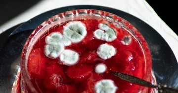 Botulizmus: tünetei, vizsgálata és kezelési lehetőségei