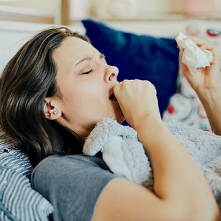 Köhögés, allergia és rossz alvás – ezt teheti a penészgombák ellen című cikk nyitóképe