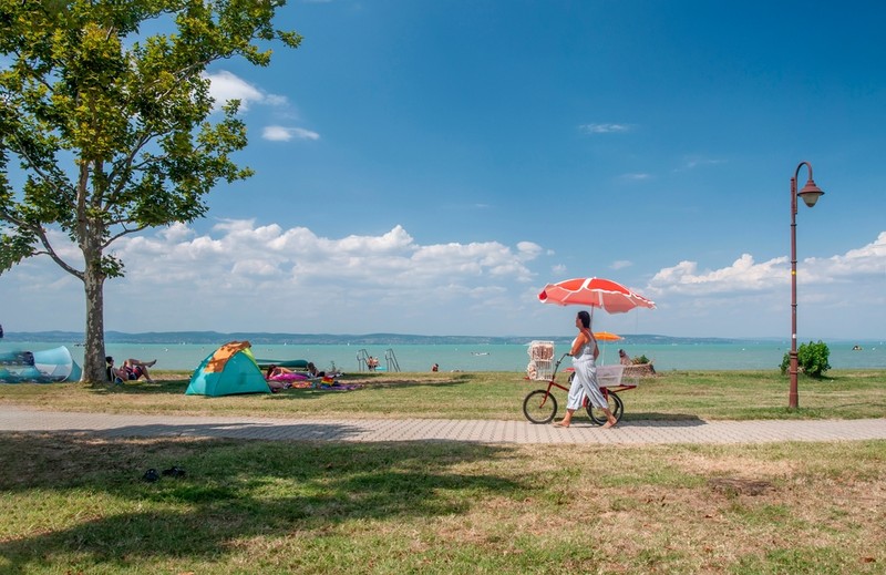 Nébih: volt olyan balatoni büfé, ahol 2019-ben lejárt fűszert használtak