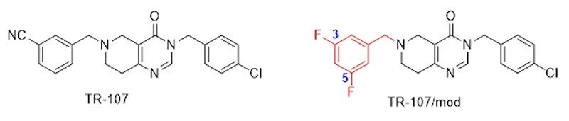 3.ábra: Az Egyesült Államokban kifejlesztett harmadik generációs ClpP aktivátor molekula (TR-107) és ennek – a kivételesen erős ClpP-kötődést, így aktiválást biztosító 3,5-difluórbenzil csoporttal módosított – az ELTE kutatói által kifejlesztett még hatékonyabb változata. 