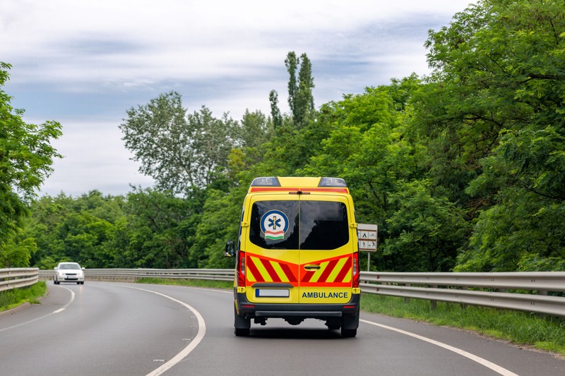 A Nemzetközi Gyermekmentő Szolgálat javára adnak koncertet a Budapesti Operettszínházban