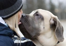 Emberek - és állatok (szeretet vagy félelem?)