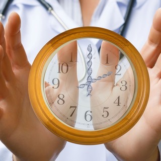 A sejtek öregedése nem a vekkertől függ: így döntik el a mitokondriumok, ki milyen gyorsan öregszik című cikk nyitóképe