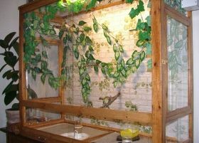 Nálatok is esznek állatok? (2.) - madarak