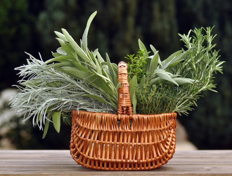 Alzheimer-kór ellen rozmaring zsálya