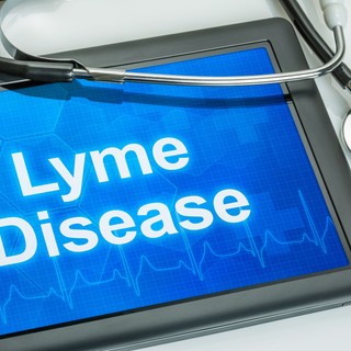 1-2 éven belül itt lehet a Lyme-kór elleni vakcina  című cikk nyitóképe