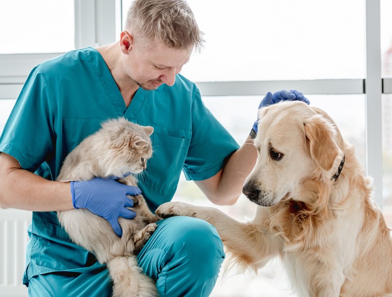 zoonózisra utaló tünetek