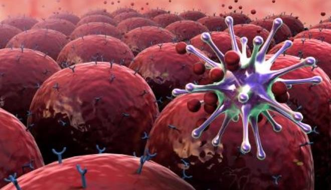 Belünkben van a második agyunk című cikk nyitóképe