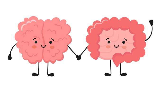 Bél-agy-tengely: így kommunikál a mikrobiom a központi idegrendszerrel című cikk nyitóképe