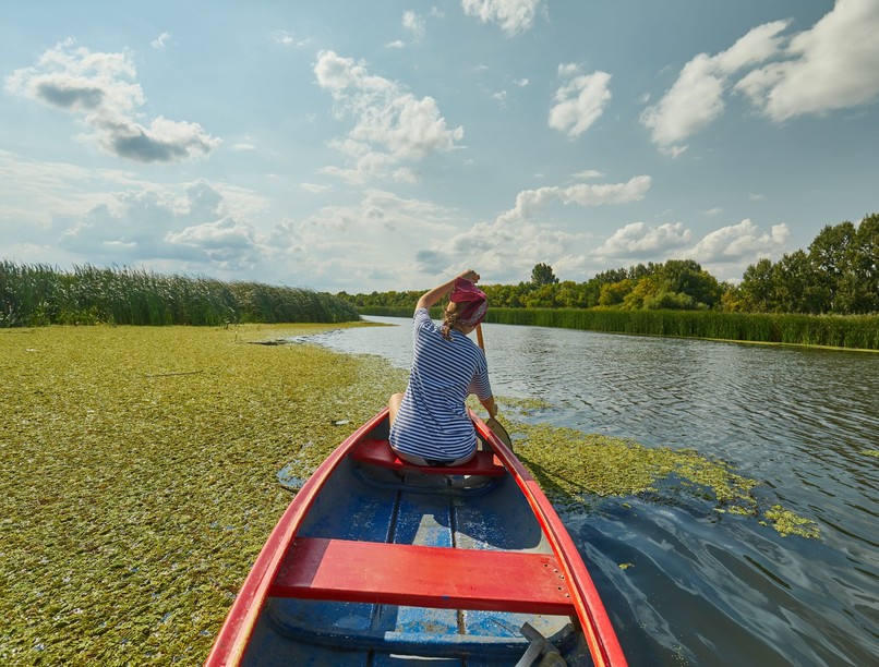 tisza-hulladek-tisztitas-szemet-kornyezetszennyezes-tiszato