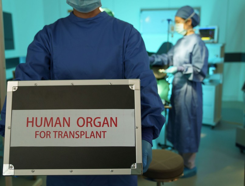 vesebetegség veseátültetés szoftver kutatás