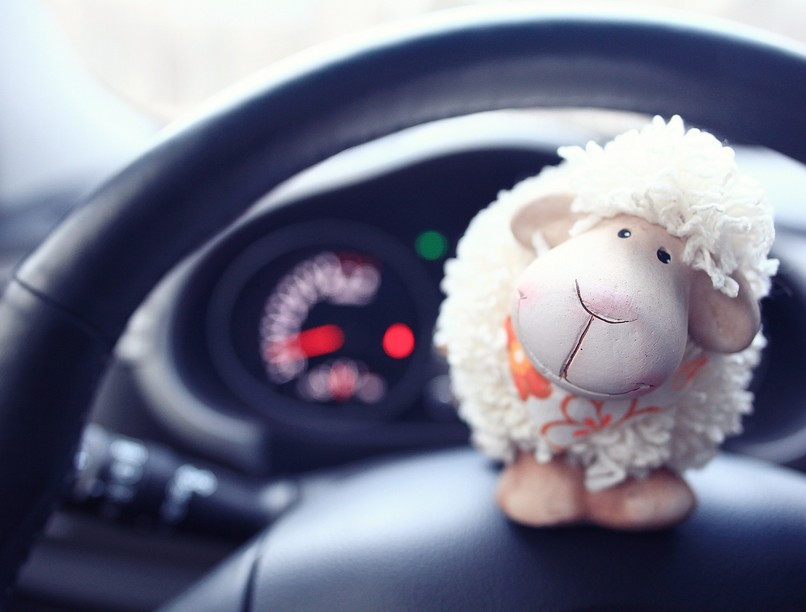 autós üldözés pincér