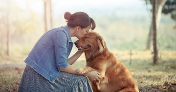 Ezekből a jelekből tudhatja, hogy a kutyája szereti Önt