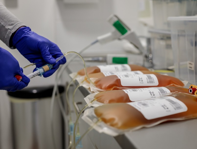 ritka betegségek világnapja, plazmaadás