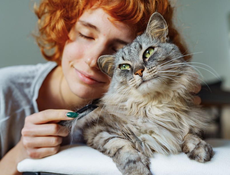 macska szeretet hatása agyra oxitocin