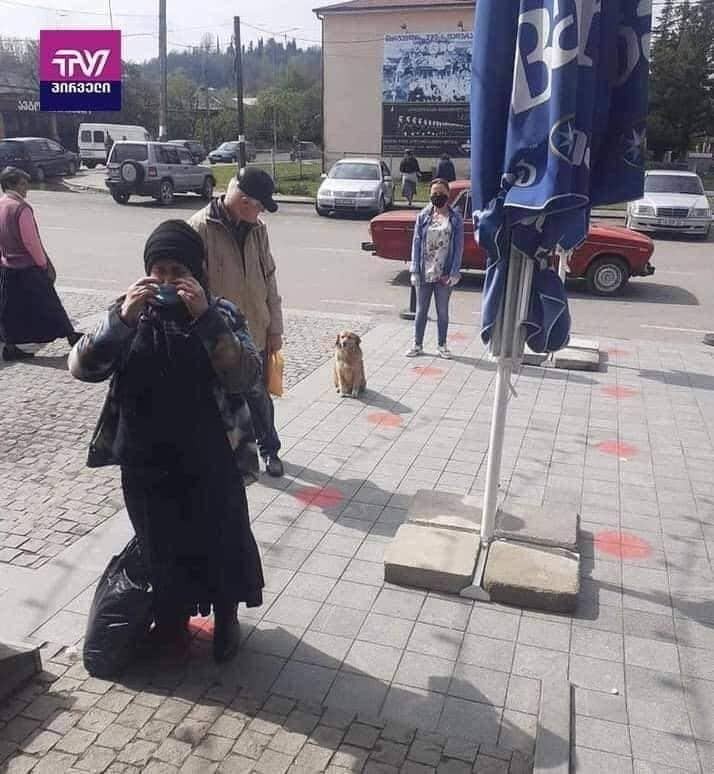 Kutya másfél méterre ül! Okos!