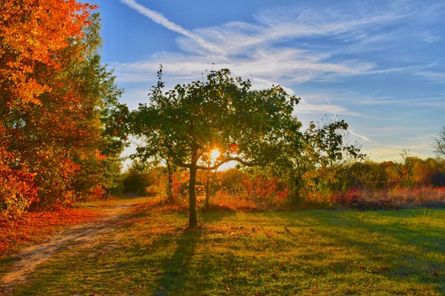 Meteorológiai szolgálat: a Dunántúlon és délen nőtt leginkább a meleg őszi napok száma