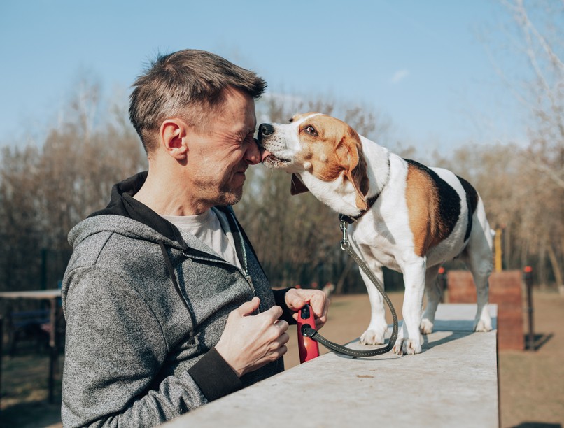 kutya, szeretet, kötődés, kutyatartás