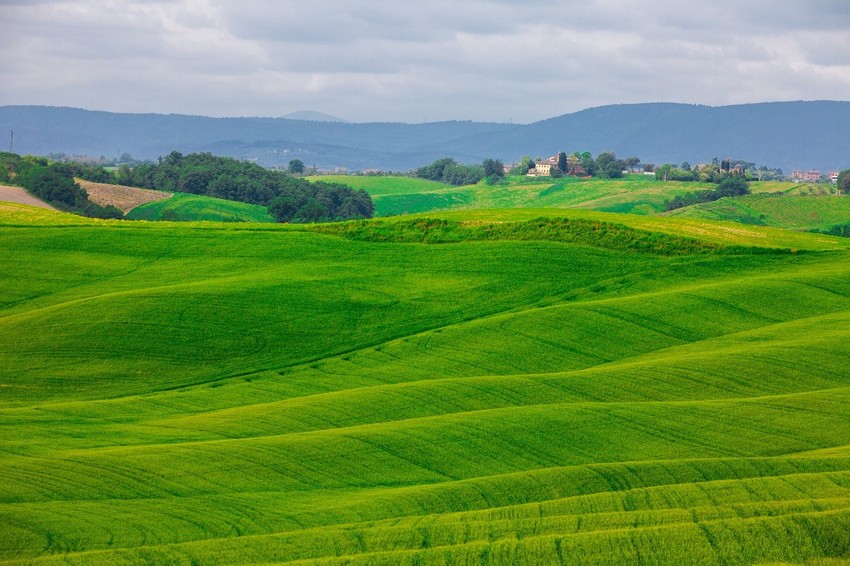 A szaruhártya felszíne egyenetlen, akár egy domborzati térkép