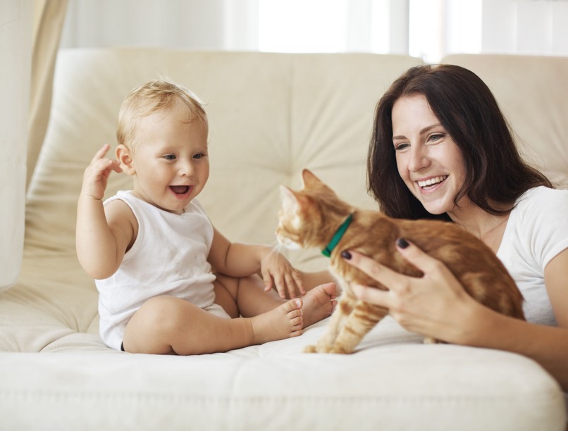 macska cica gyermekvállalás zoonózis toxoplasmosis paraziták