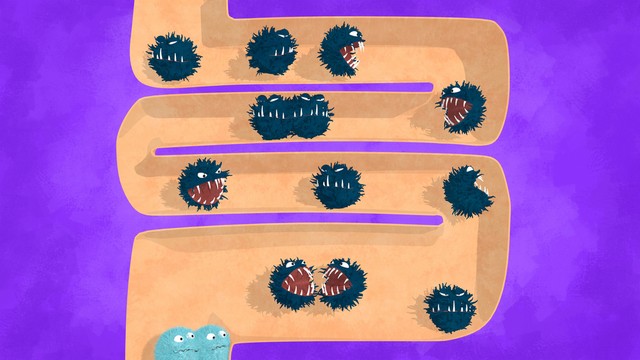 Kivédhető a poszt-covid, ha egészséges a bélflóra?