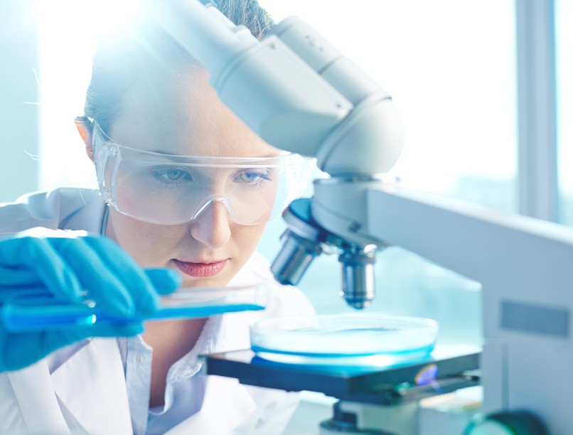 magyar kutatók, herbapirin, kutatás, fűzfakéreg