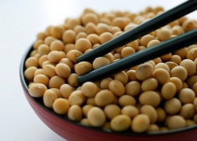 Atkins-diéta - egy másik szemszögből