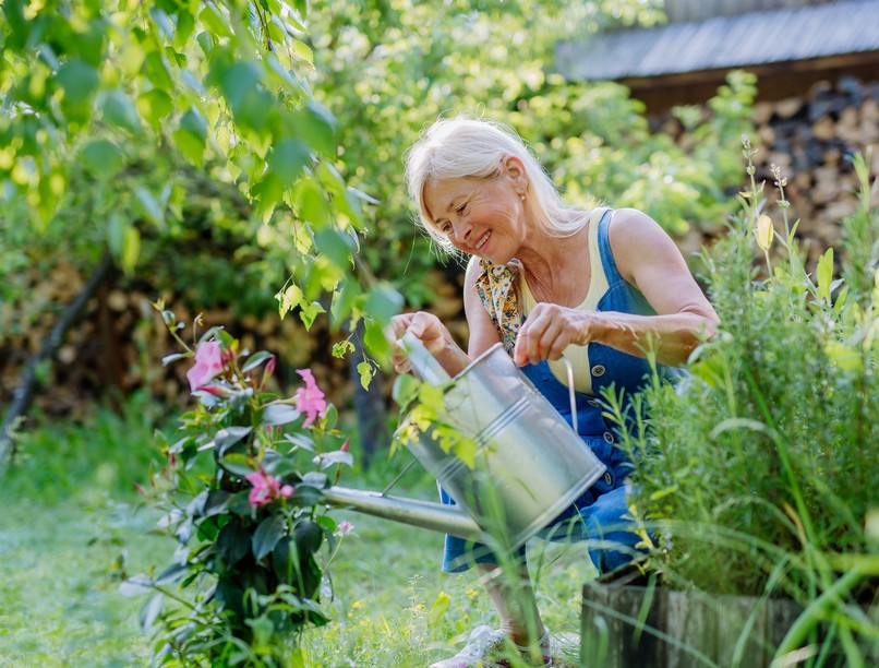 kertészkedés, időskor, demencia, egyensúlyzavar