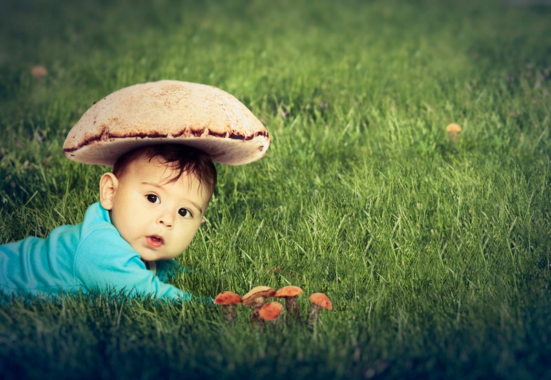 Gombába harapott a gyerek: így reagált az esetre a Heim Pál Gyermekkórház