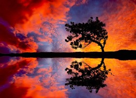 Egy igen különös betegség: bezártság-szindróma