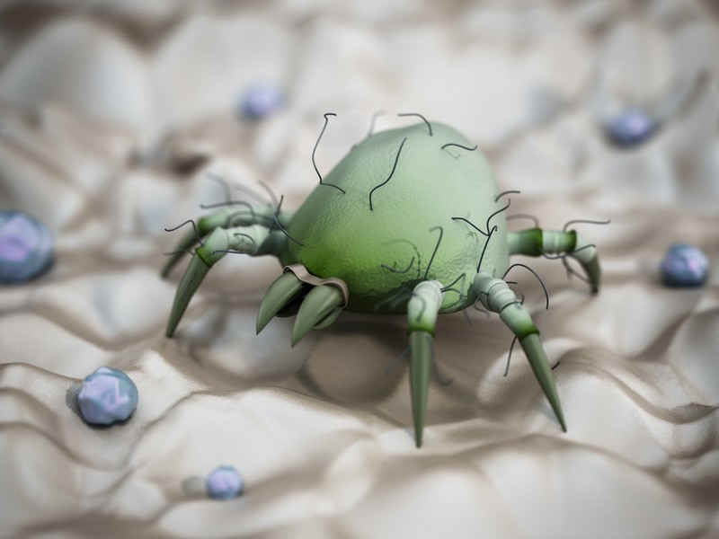 Poratka-allergiája van? Ez a trükk segíthet