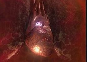 Azonnal felismeri a szívrohamot egy új eszköz