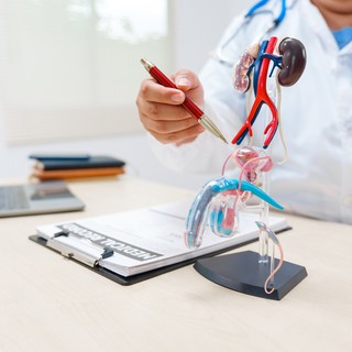 Hererák: tünetek, önvizsgálat, kezelés és a leggyakoribb kérdések válaszokkal című cikk nyitóképe