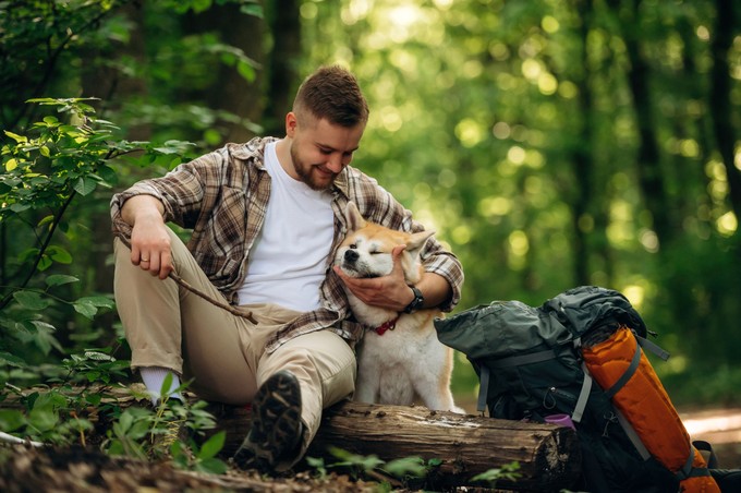 Túrázás kutyával: így készüljön fel rá című cikk nyitóképe